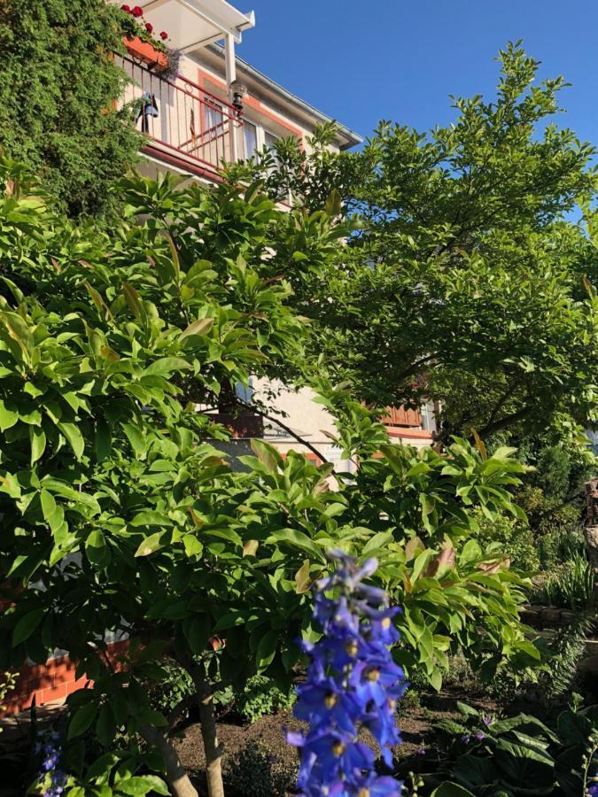 Pensjonat Victoria Hotel Miedzyzdroje Bagian luar foto